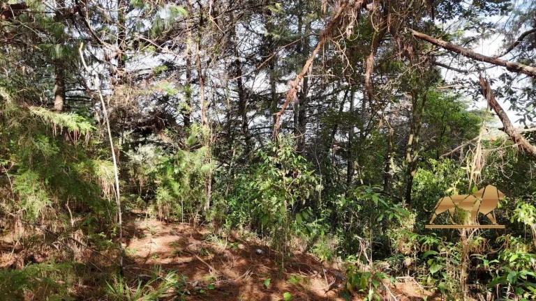 Imagem Terreno a venda em Campos do Jordão