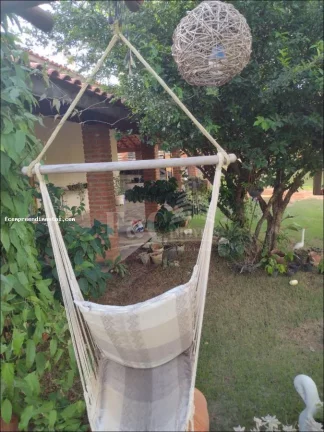 Imagem Chácara Condomínio para Venda em Limeira, Loiolas, 2 dormitórios, 1 suíte, 1 banheiro, 10 vagas