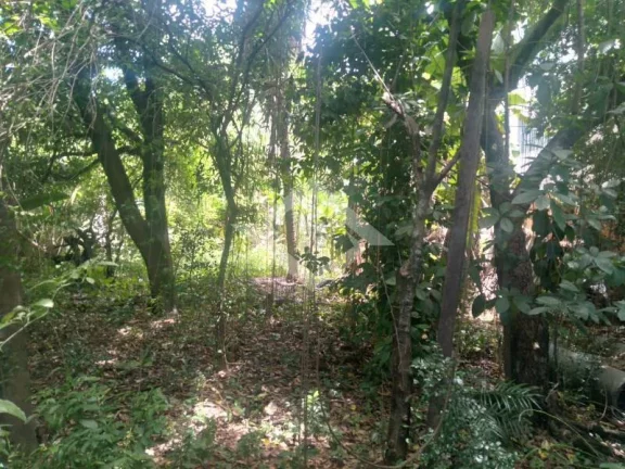Imagem Terreno próximo ao centro de Campo Grande