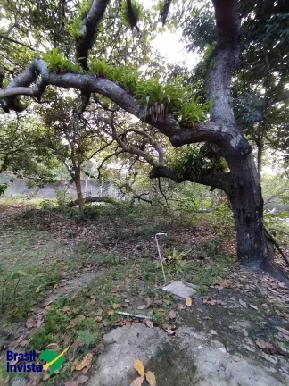 Imagem ÁREA EM ARRAIAL D'AJUDA