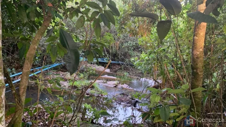 Sítio à Venda na Comunidade Caixetas – Guimarânia-MG | 11,9 Hectares com Casa de 186m² – R$ 700 Mil