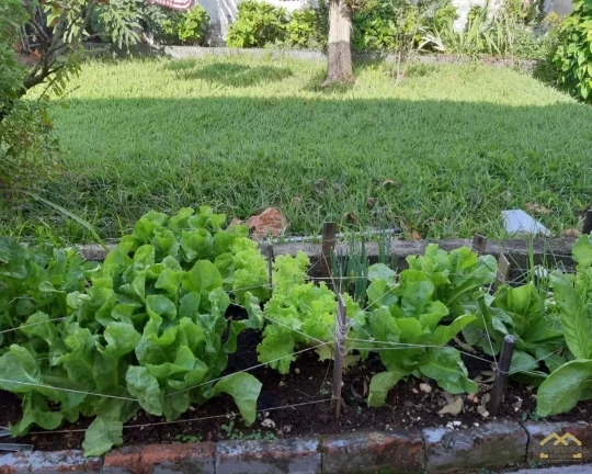 Imagem Casa térrea com 3 dormitórios (1 Suíte) a venda - Vila Progresso - Jundiaí/SP