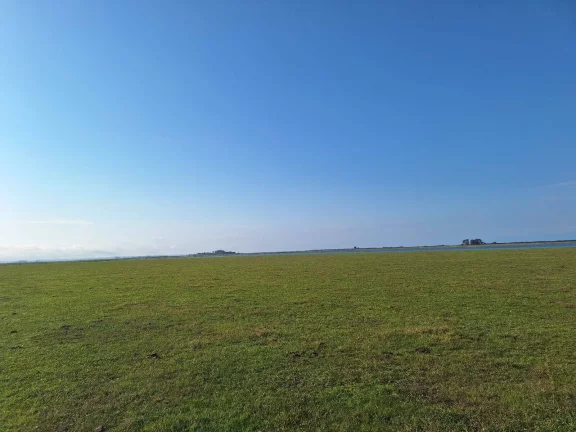 Imagem Excelente Área de 130 Hectares para Cultivo de Arroz – Viamão/RS