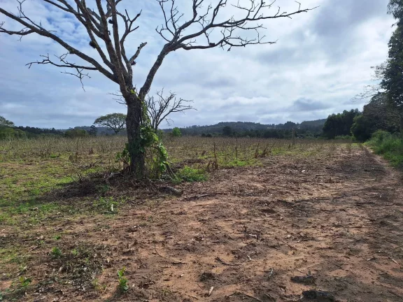 Imagem Sítio à venda, com 1 hectare, açude, no Passo da Areia - Viamão/RS