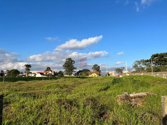 Imagem ÁREA à venda com 5513.17m² por R$ 8.269.755,00 no bairro Centro - PINHAIS / PR