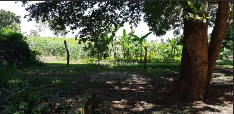 Imagem Chácara à venda, Zona Rural, Beira do Rio Cuiaba Acorizal, MT