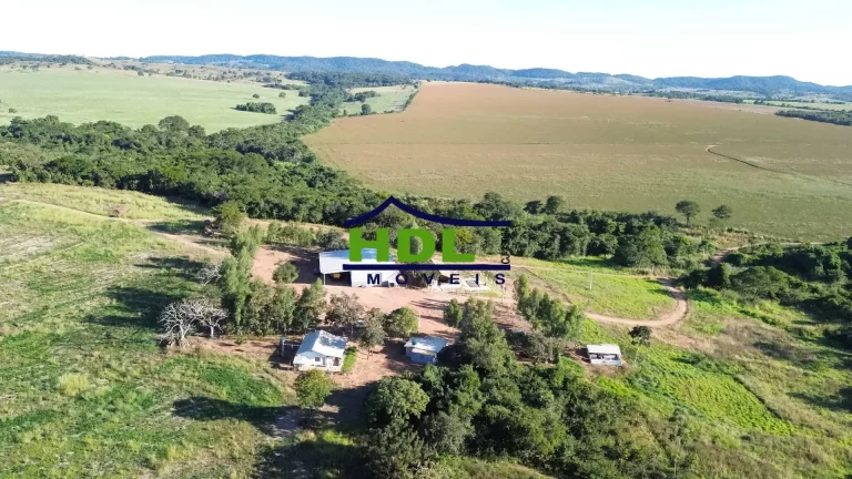 Imagem Fazenda Top 243 Ha alta produtividade em Piracanjuba GO