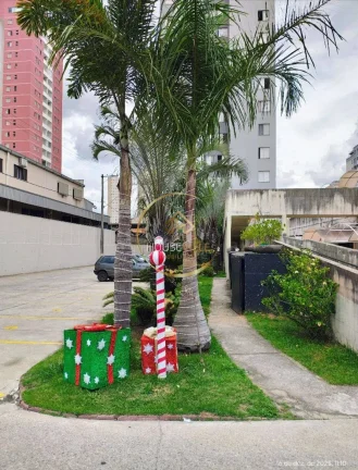 Imagem Apartamento 3 dormitórios Campo DI Savoya