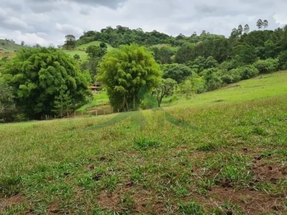 Imagem Lindo Sítio à Venda em Piracaia – 48.400 m² de Tradição e Beleza Natural