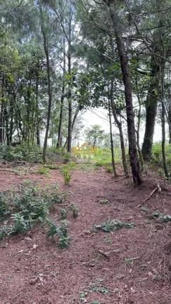 Imagem Terreno com 2 Dormitorio(s) localizado(a) no bairro Mato Comprido em Morro Reuter / RIO GRANDE DO SUL Ref.:1571
