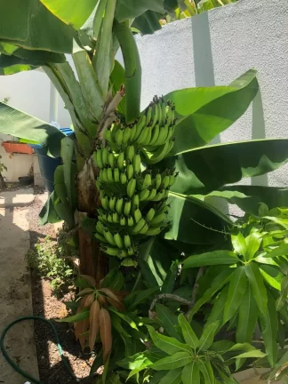 Imagem Casa à Venda no Condomínio Marta Ferreira - Espaço, Conforto e Lazer!