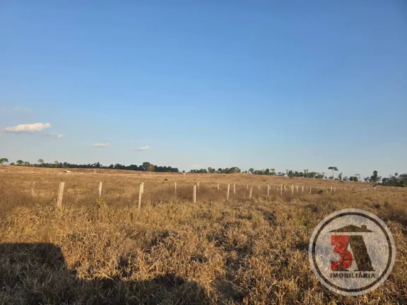 Imagem Terra de Patrão c/ 412 hectares à 27 km de Porto Velho