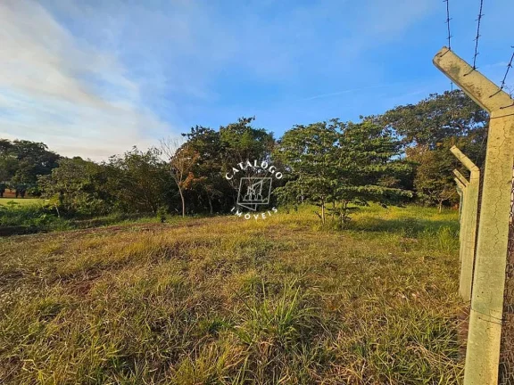 Imagem Terreno a Venda no bairro Vila do Golf - Ribeirão Preto, SP