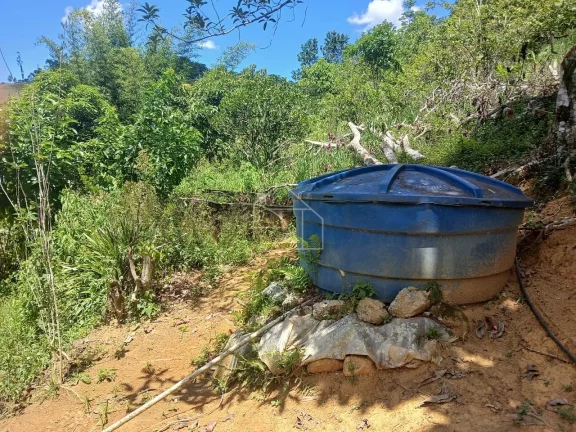 Imagem Sitio em Melgaço Domingos Martins