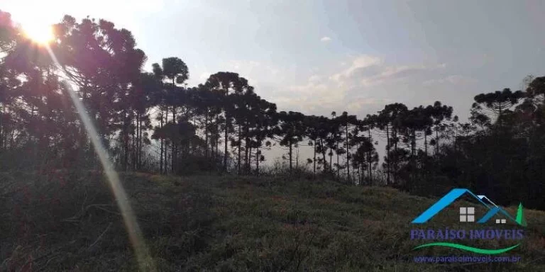 Imagem Paraíso Ecológico na Serra da Mantiqueira: Terreno com Vista Panorâmica!