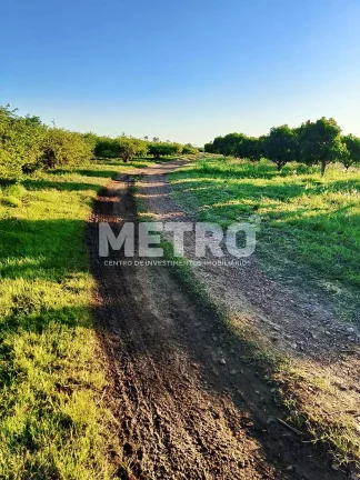 Imagem Fazenda de com 20 hectares produzindo e com Infraestrutura, CASA NOVA - BA