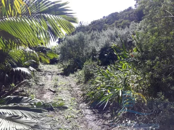 Imagem Terreno - Em rua, para Venda em São Francisco do Sul/SC