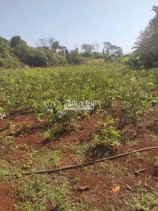 Imagem Chácara à venda próximo à Delta: seu refúgio rural na cidade