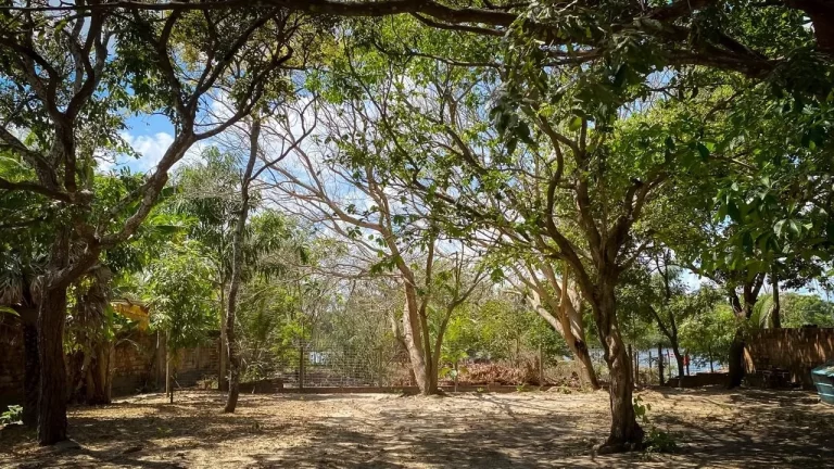 Imagem Casa na Beira do Rio Preguiça em Barreirinhas