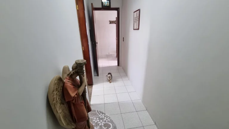 Imagem IMÓVEL Á VENDA COM FRENTE PARA A RODOVIARIA DE FRANCA/SP