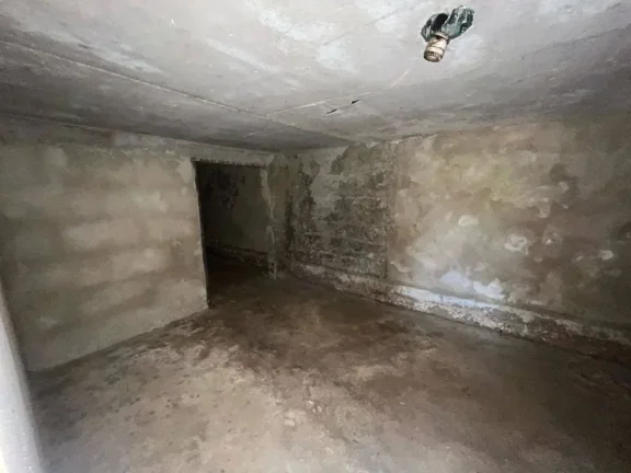 Imagem Duas Casas à venda no mesmo terreno em Pinheiro Grosso