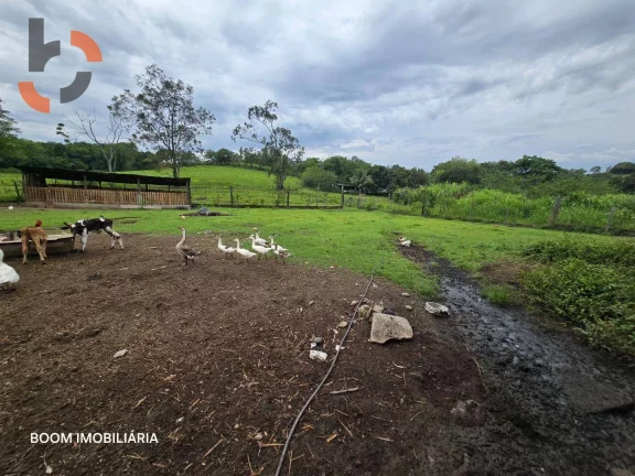 Imagem Sítio com 1 dormitório à venda, 36480 m² por R$ 3.000.000,00 - Santa Rosa - Queimados/RJ