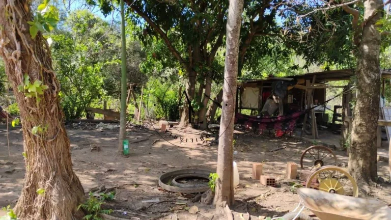 Imagem Chácara à venda em Campinas, Loteamento Chácaras Gargantilhas, com 1 quarto, 70m2