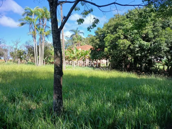 Imagem Sítio à venda, Flamenguinho, Ibaiti, PR