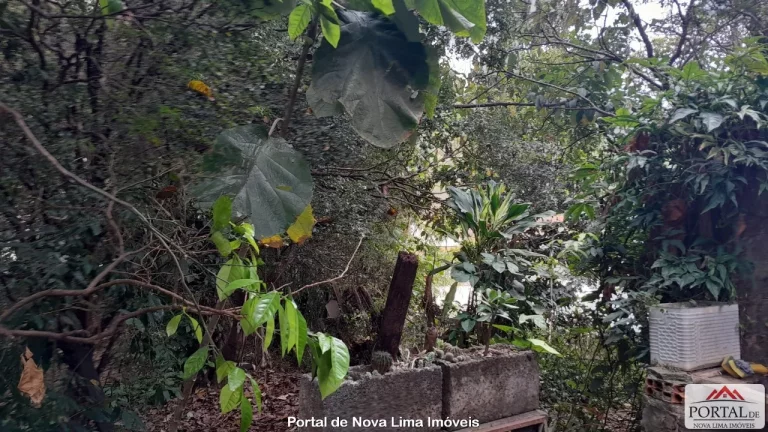 Imagem Casa com quintal a venda em Nova Lima, região central