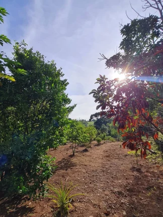Imagem CHÁCARA LOCALIZADA NA PAINEIRA