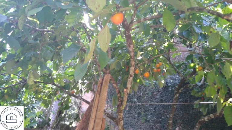 Imagem Chácara para venda em Cipó Guaçu - Embu Guaçu / Depois de parelheiros.