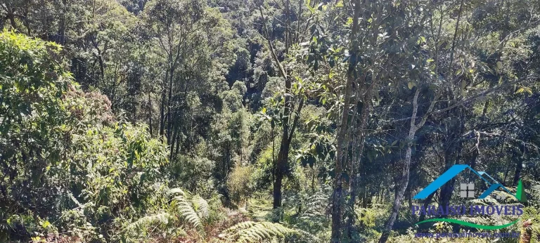 Imagem Terreno Rural na Serra da Mantiqueira | Sertão do Cantagalo