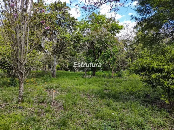 Imagem Chácara bem localizada com ótimo ponto comercial a poucos quilômetros do centro