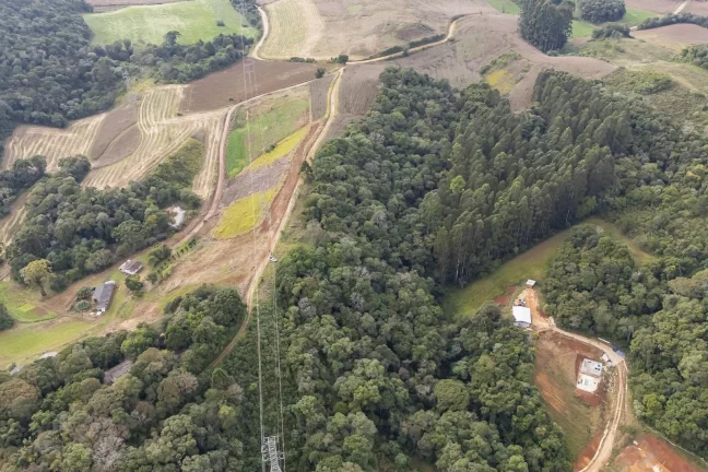 Imagem Chácara em Campo Magro com 24.200 m²