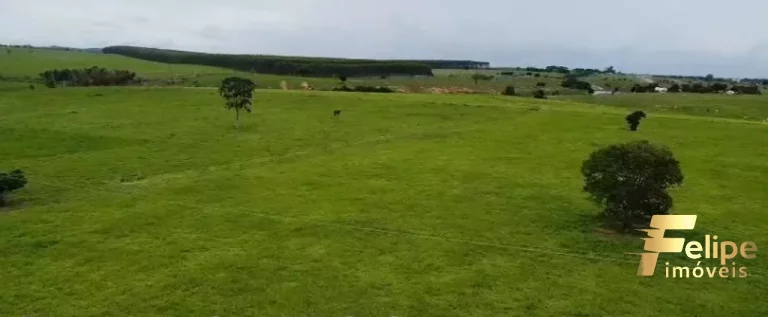 Imagem FAZENDA À VENDA EM TEIXEIRA DE FREITAS / BAHIA
