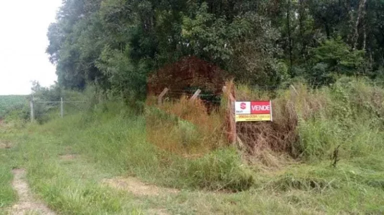 Imagem Chácara à venda em Campo Largo/PR