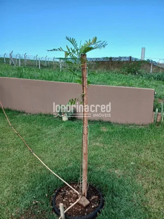 Imagem Chácara à Venda no Condomínio Farol de Paranapanema II – Alvorada do Sul | Porteira Fechada, Mobiliada, Piscina e Grama Esmeralda em Todo o Terreno!