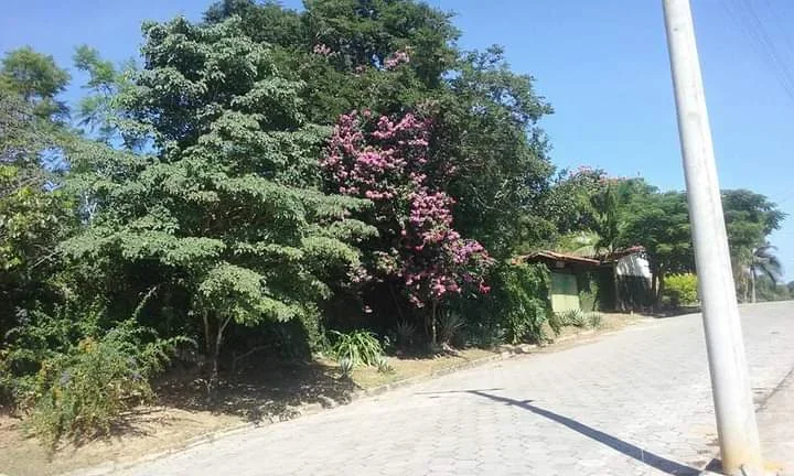Imagem Chácara em Sarapuí - 5.000m²