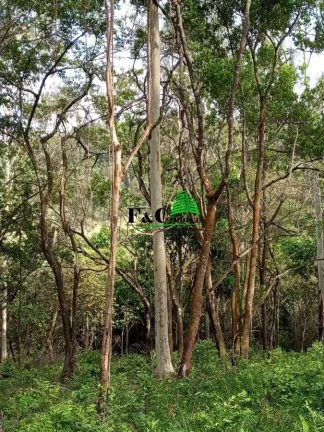 Imagem Terreno para Venda em Rio Claro, Área Rural de Rio Claro
