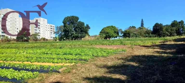 Imagem Excelente Terreno de 24.400 m² com ótima localização no bairro de Medeiros!