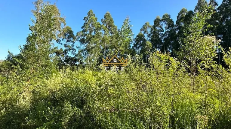 Imagem Chácara - Sítio com 1 Dormitorio(s) localizado(a) no bairro Pinhal Alto em Nova Petrópolis / RIO GRANDE DO SUL Ref.:1472
