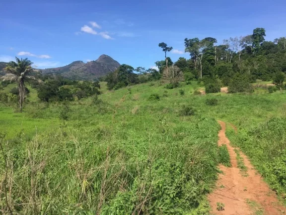 Imagem FAZENDA RURAL em COLATINA - ES, ÁREA RURAL DE COLATINA