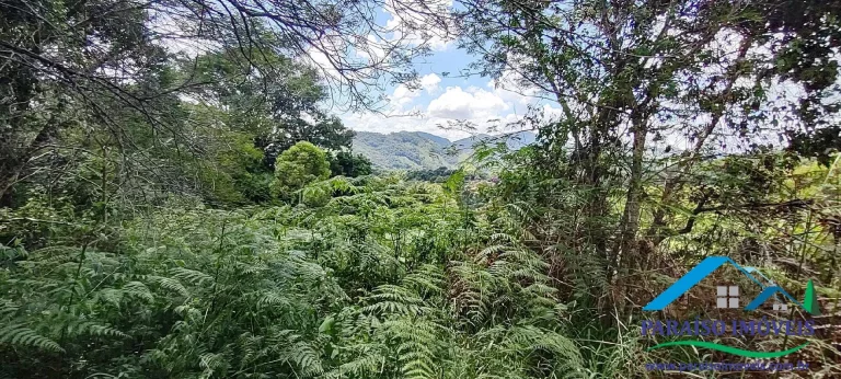 Imagem Paraíso Ecológico: Terreno com Nascente Própria e Vista para as Montanhas.