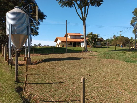 Imagem FAZENDA AVARÉ-SP