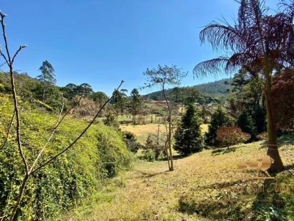 Imagem Chácara com 7 dormitórios à venda, 25000 m² por R$ 2.450.000 - Renópolis - Santo Antônio do Pinhal/SP