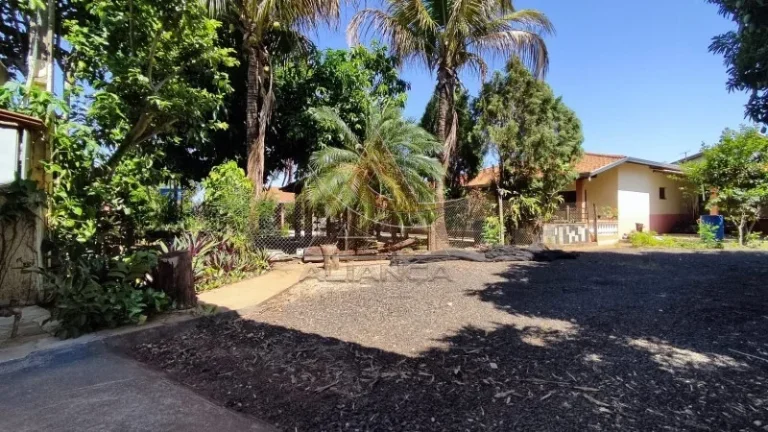 Imagem Chácara - Jardinopolis - Jardinópolis