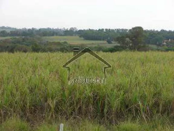 Imagem Vende Sitio Rodovia Castelo Branco