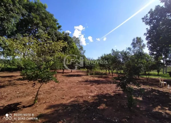 Imagem Excelente Chácara, 15.5 Ha, formada,