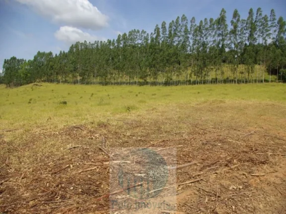Imagem SÍTIO A VENDA 12,5 ALQUEIRES a R$ 88.000 o Alqueire, JACUÍ - SUL DE MINAS GERAIS, para gado, milho, soja.
