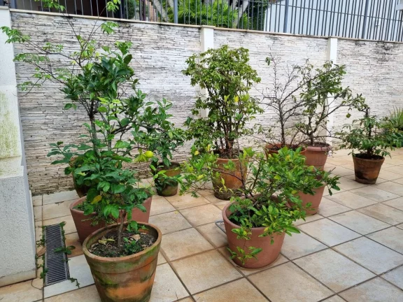 Imagem Casa maravilhosa a venda SPII